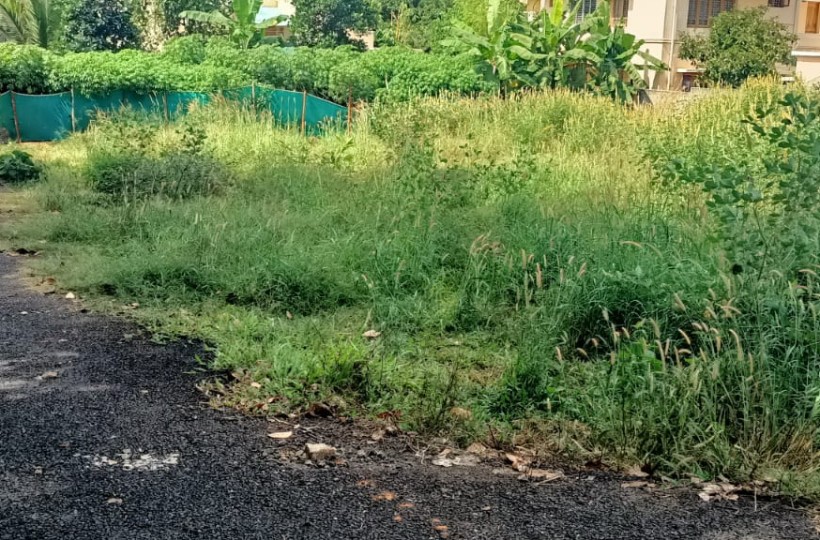 Kulasekaram - Thirparappu Road || 10 Cent || 7 lakhs per cent